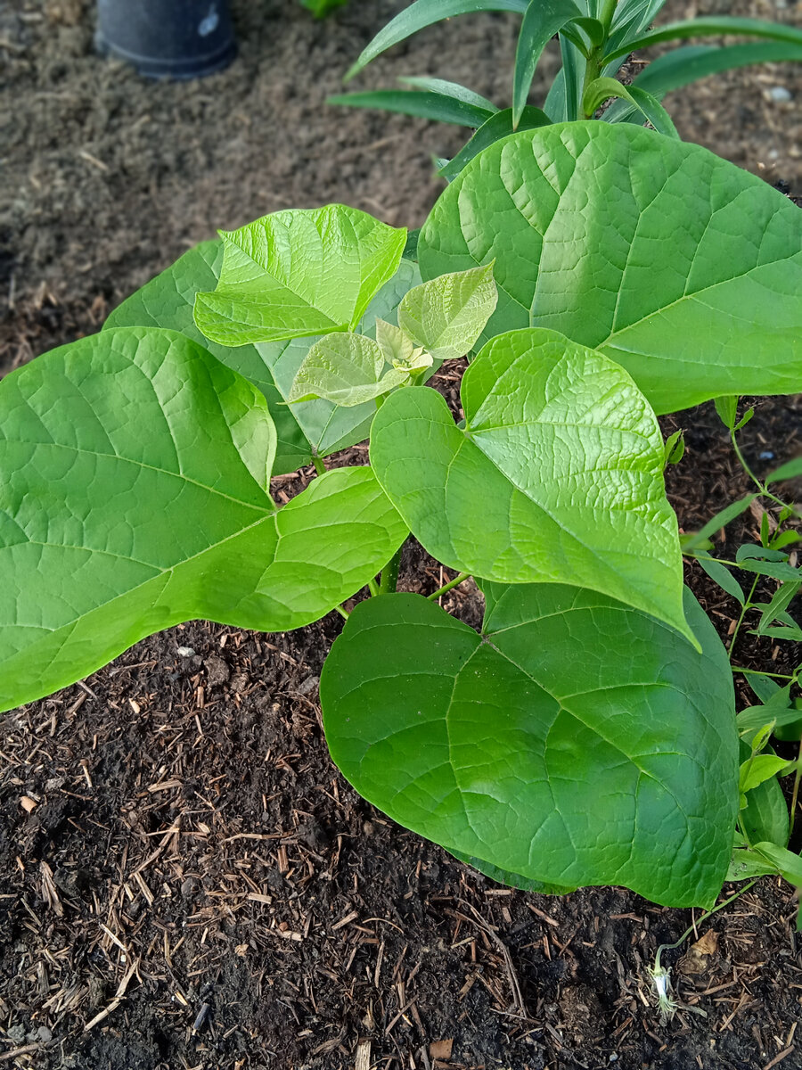 15 июля, неплохо да?! 