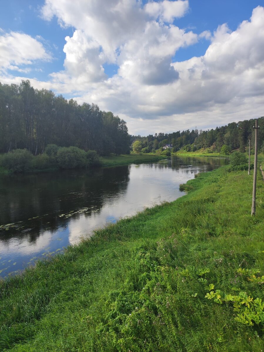 Пейзажи реки. Фото автора