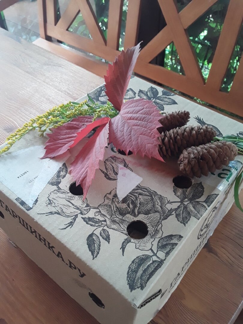 Коробка одного из интернет-магазинов растений, которая до сих пор используется в дачном хозяйстве для хранения клубней зимой