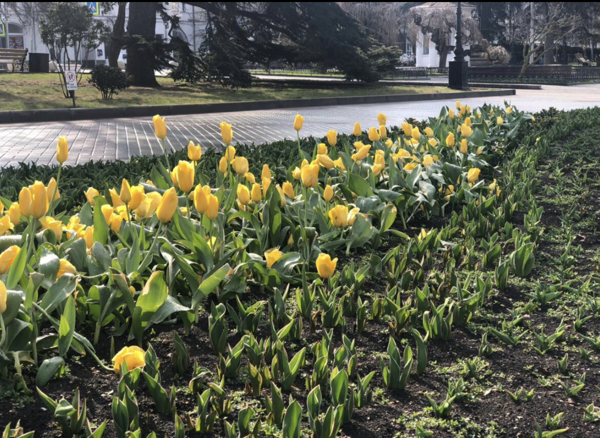 Напоминание о летних деньках 