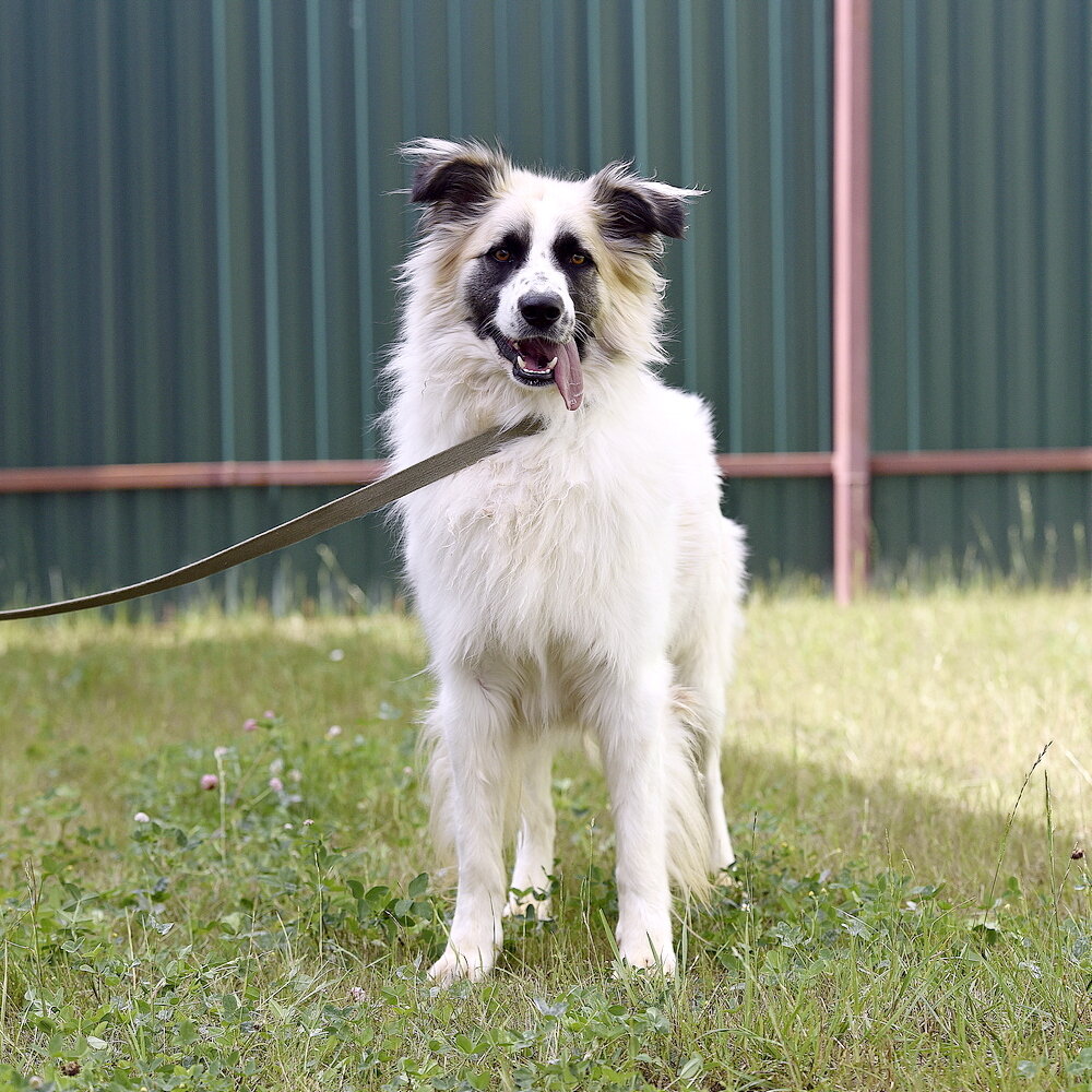 А чем печали станут? Сном! А козни? Превратятся в опыт.