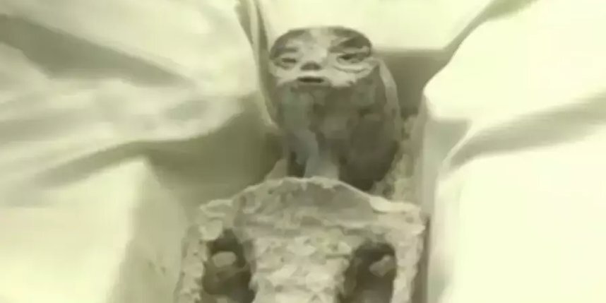    "Инопланетная" мумия.Скриншот с YouTube-канала ABC7