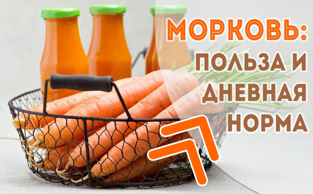 Морковь: польза или вред, дневная норма, калорийность - Calorizator