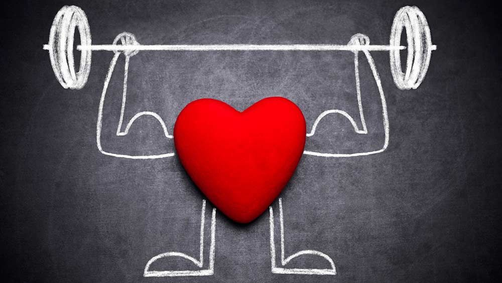 Спорт и сердечно сосудистая система. Здоровое сердце. Тренировка сердца. Сердце спорт. Тренировка сердца и сосудов.