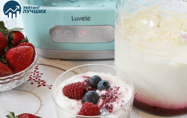 Рейтинг лучших йогуртниц