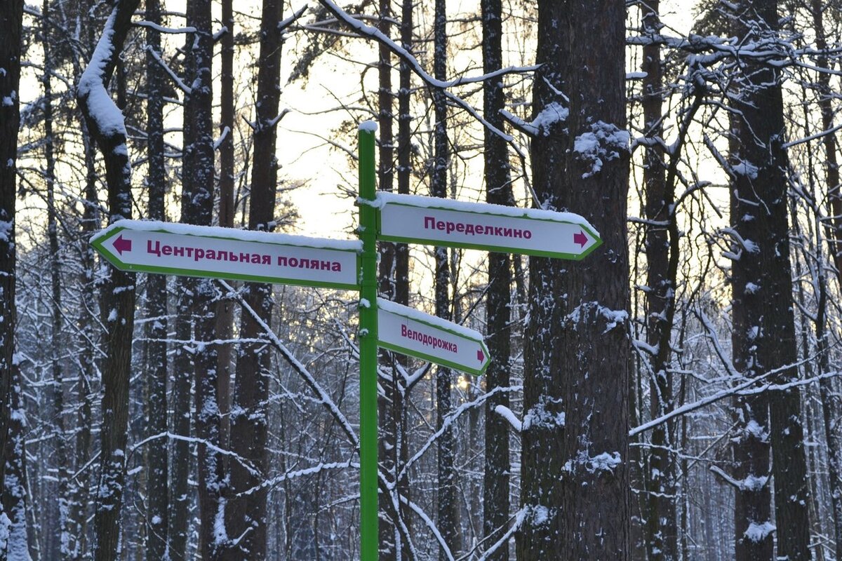 картинка с яндекс