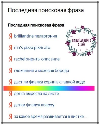 Это запросы, по которым кто-то из Вас находит мой канал в Сети. Сегодня отвечу на вопрос про сахар с фиалками вообще. В любых вариациях: укоренение черенков в подслащенной воде, поливы сладкой водичкой, рассыпанный на поверхности земли сахарный песочек и т. д. Ответ для многих станет неожиданным!