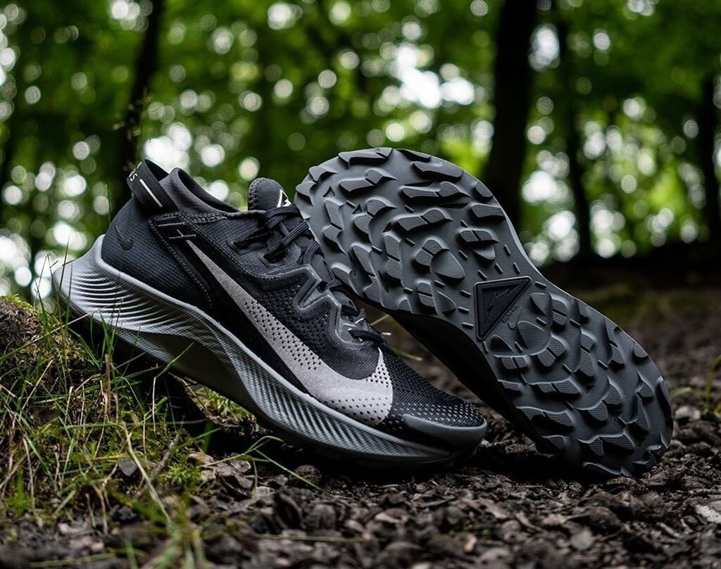 Nike Pegasus Trail 2