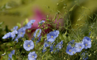 фото загружено с  поисковика яндекс картинки