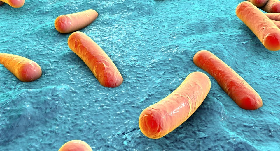 Черная смерть, черный мор (также бубонная и легочная чума)