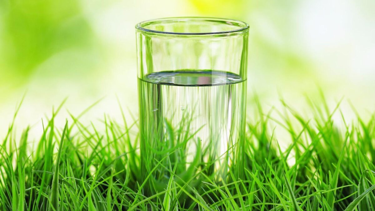 Источник: яндекс.картинки