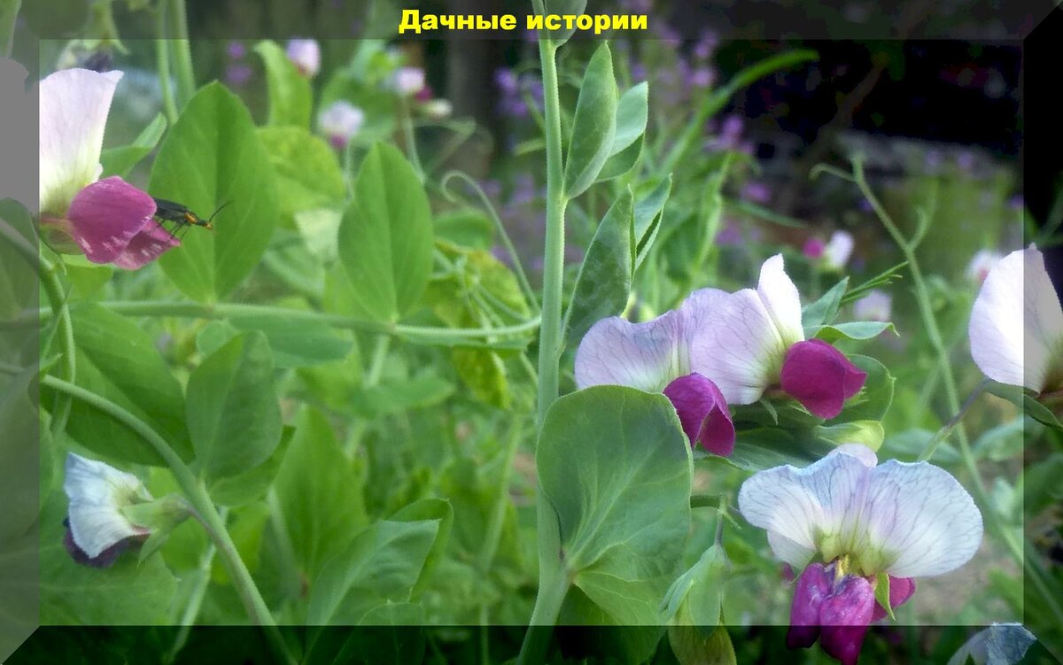 https://vk.com/photo-159774511_457244296