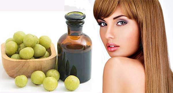 Знакомьтесь - это индийская амла. К нашему крыжовнику отношения не имеет ))