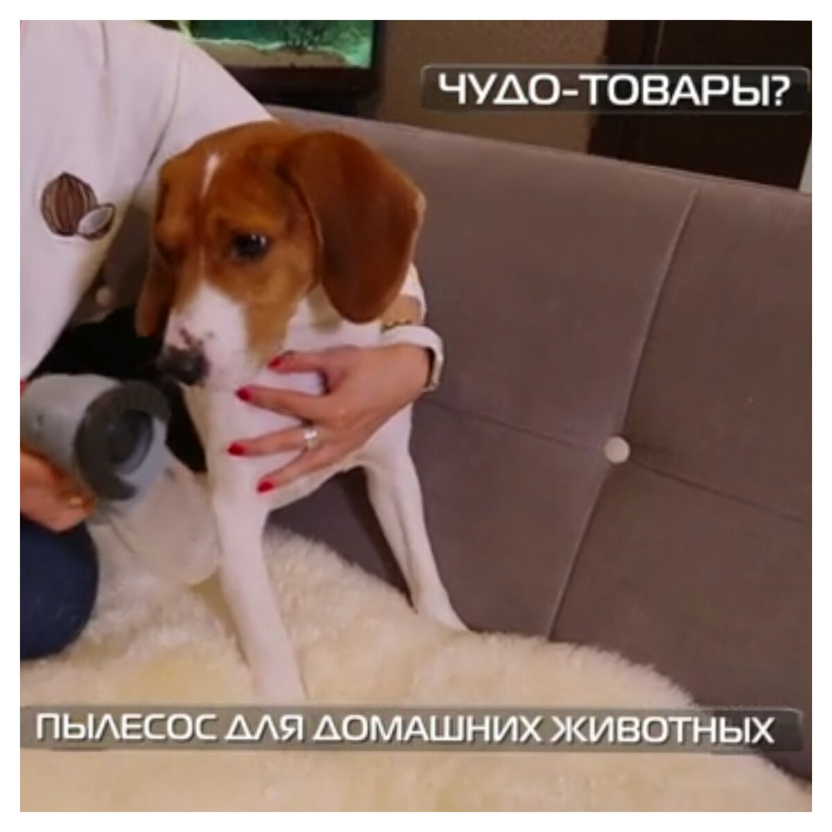 Картинка с использованием скриншота передачи "Чудо техники"