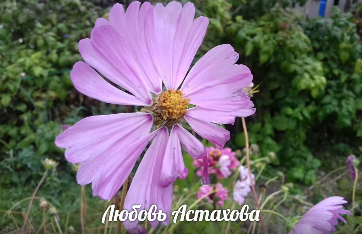 Когда обида и злость застилают нам глаза, мы начинаем видеть в любимом и родном человеке, такие уродливые качества, которые ранее не замечали. Многих из них даже и нет, но мы придумываем их для себя, чтобы найти оправдания своему поведению.