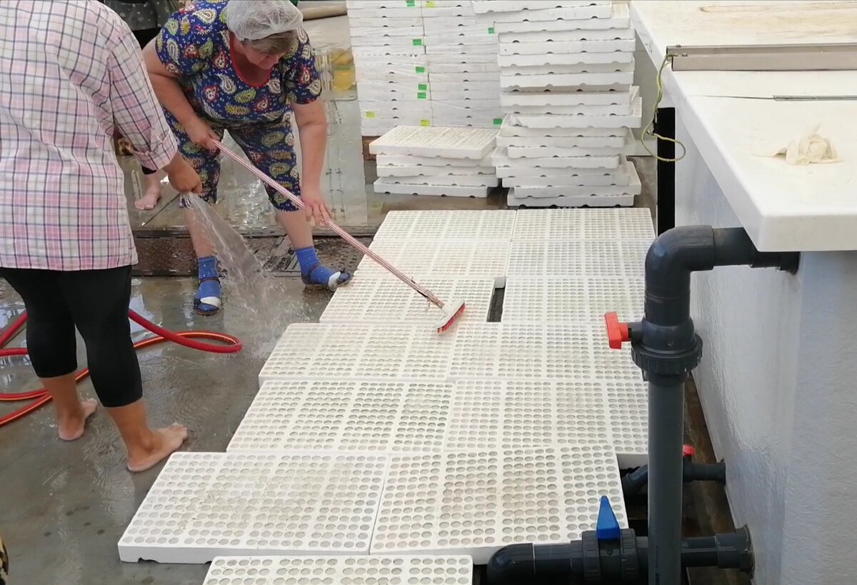 Мыть это ещё самая лёгкая работа.. 