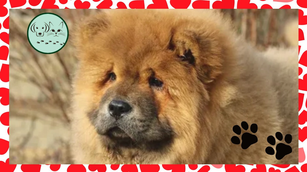 Ставьте лайки, подписывайтесь на канал