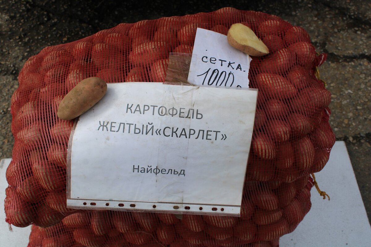 Сезонная сельскохозяйственная ярмарка открылась в Биробиджане