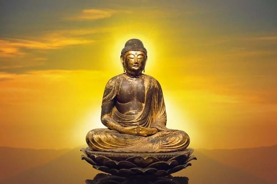 изображение из сети интернет и в свободном доступе