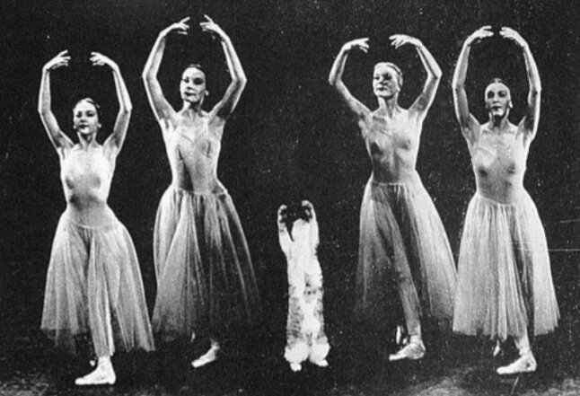 Балетные элементы в исполнении Мурки. Фотография с просторов Интернета