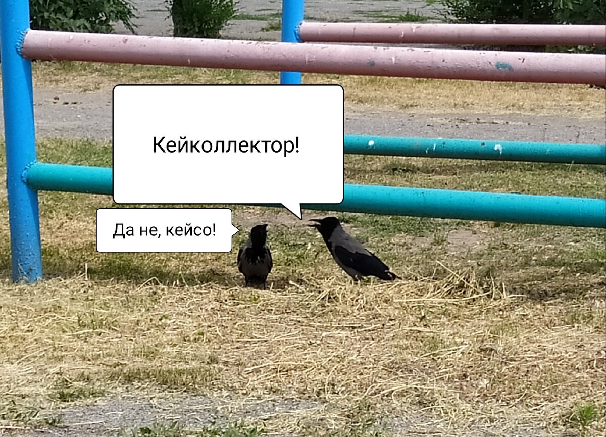 В споре рождается истина. Или нет