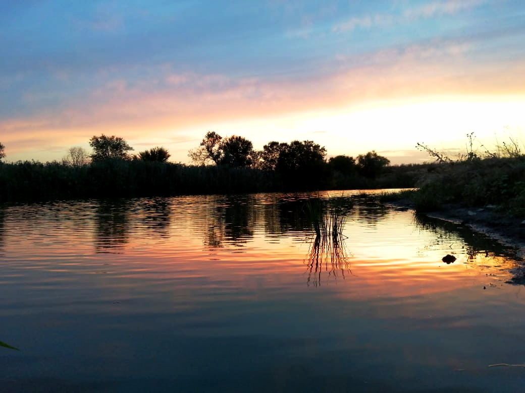 Фото Яны Конозовой