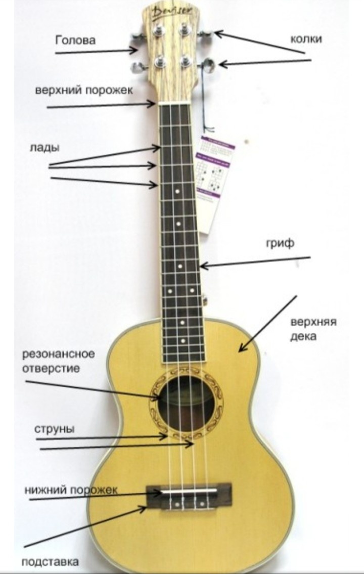 Вот так  называются части укулеле