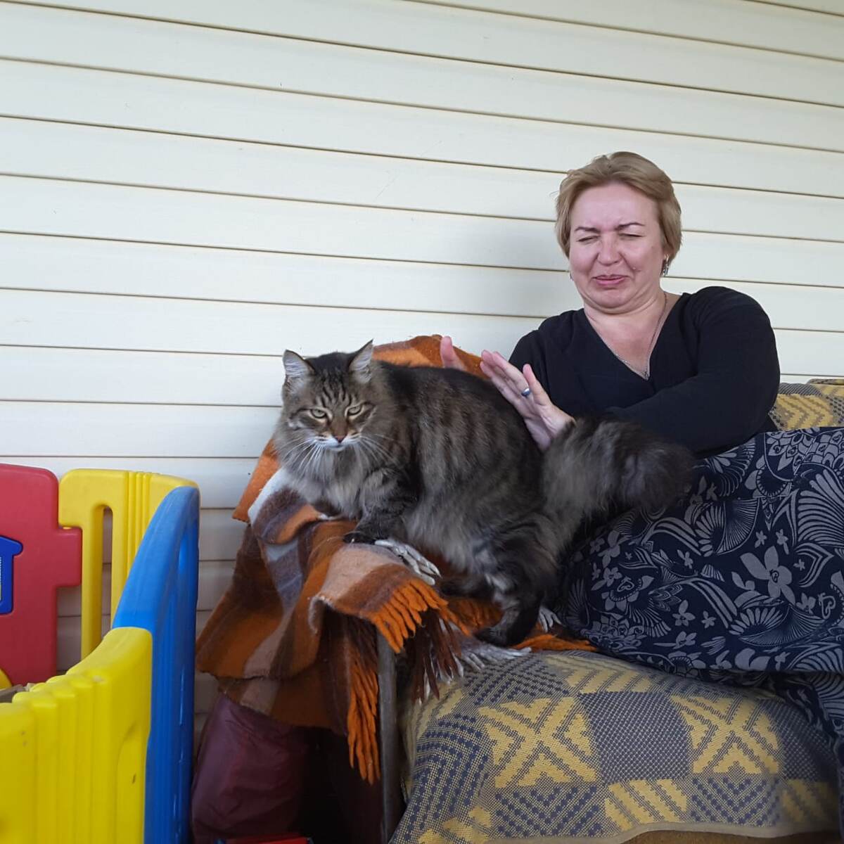 ни один кот не пострадал/)