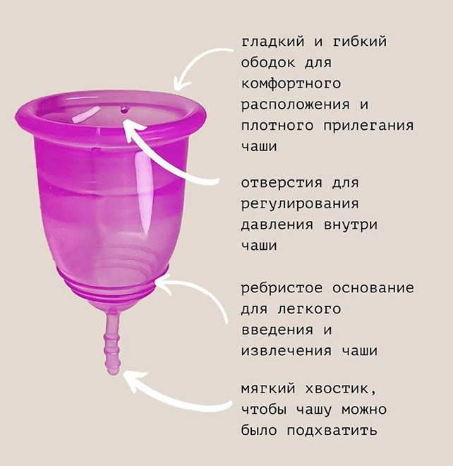 Источник: Осока Высокая