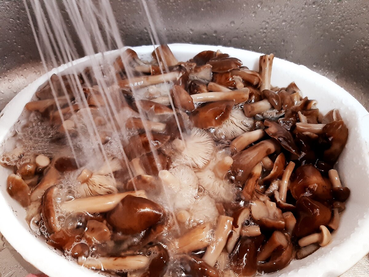 Вода после грибов. Мытье грибов. Промывка грибов. Белый гриб после варки. Промыть грибы.