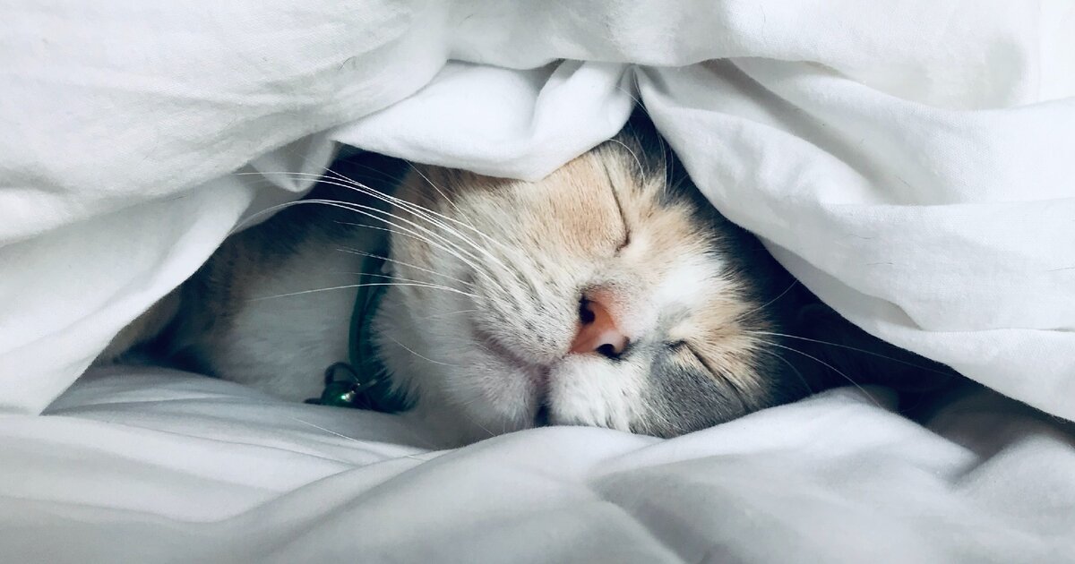 Картинка взята с www.popmech.ru