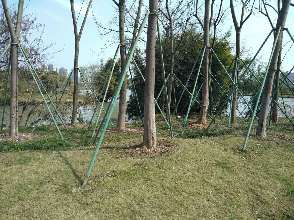 Странности нашего городка.