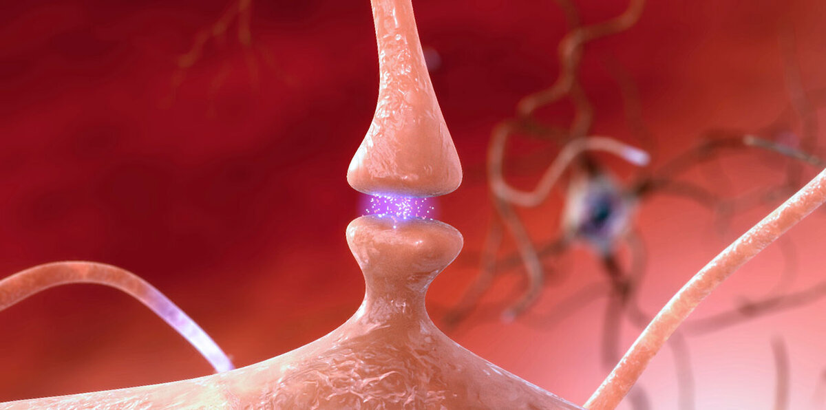 Credit: National Institute on Aging, NIH