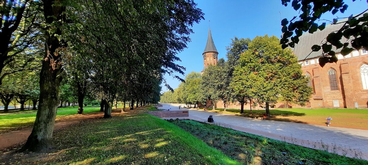 о.Канта в Калининграде