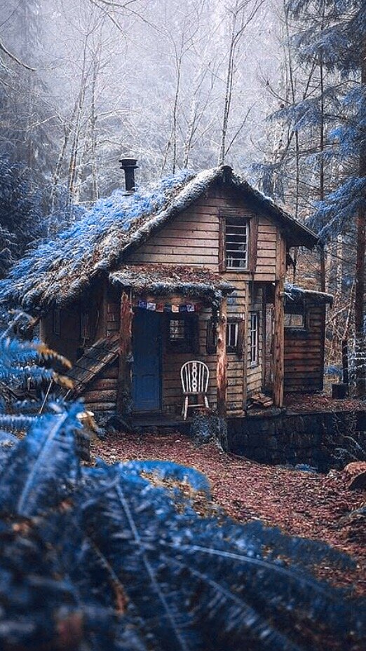 📚📚📚📚📚📚📚📚📚
*НАСТАВЛЕНИЕ ИБН БАЗА, КОТОРОЕ НУЖНО НАПИСАТЬ  ЗОЛОТОМ*
_______________________

 🔹Говорит шейх Ибн Баз (да помилует его Аллах):

"Уважаемые мусульмане! 

-▪️ Исправляйте самих себя побыстрее, с раскаянием возвратитесь к вашему Господу и стремитесь к постижению знания!

▪️Не уходите с головой в мирскую жизнь (дунья) и не отдавайте ей предпочтение перед жизнью будущей (ахыра)! Аллах описал Своих врагов таким образом: 
" *Воистину, эти любят жизнь ближнюю и оставляют позади себя Тяжкий день*". ("аль-Инсан: 27). 

▪️Вы не были созданы для этого мира, вы были созданы для мира вечного и приказано вам запасаться благими делами для него!

▪️Что касается этой мирской жизни, то была она сотворена ради помощи осуществить поклонение Всевышнему Аллаху.

▪️Пусть каждый мусульманин остерегается быть обманутым большинством, воистину, такое обольщение является самой большой бедой, по причине которой погибли целые народы жившие до нас!

▪️ Поэтому, к тебе я обращаюсь, о благоразумный! Следи за состоянием твоей души и держись истины, даже если люди оставили это. И держись подальше от того, что запретил Аллах, даже если люди и делают это.

Сказал Всевышний:
" *Если ты станешь повиноваться большинству тех, кто на земле, они собьют тебя с пути Аллаха*". ("аль-Ан'ам: 116).

▫️Говорили саляфы:
" _Не избегай истины из-за малочисленности идущих за ней, и не соблазняйся ложью из-за многочисленности погибших под ней_".

📖См. "Фатауа Ибн Баз", 2/147.