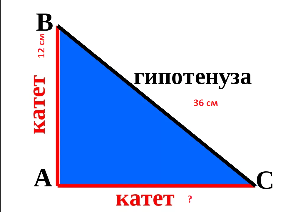 Где катет а где гипотенуза в прямоугольном треугольнике. Где в треугольнике катет и гипотенуза. Катеты прямоугольного треугольника. Катет и гипотенуза прямоугольного треугольника.