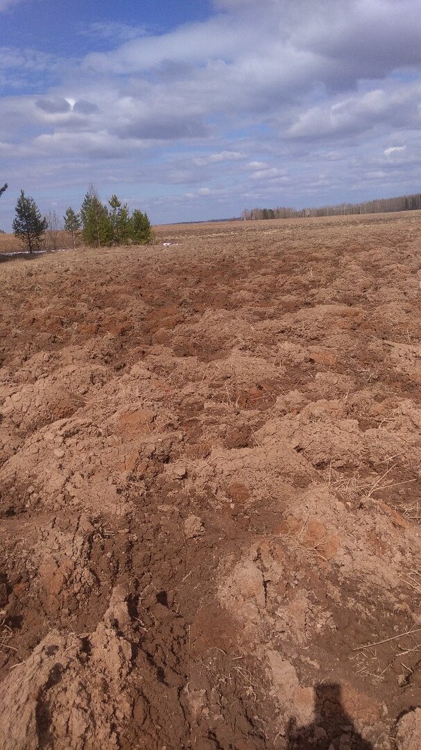 Просто поле ))