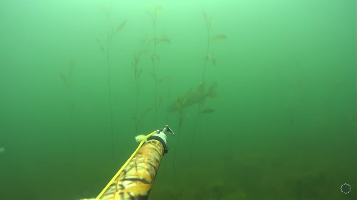 Качество съемки на подводную камеру