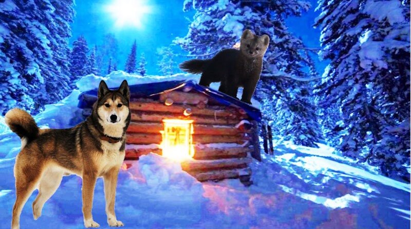 Охотничье зимовье. Фотоколлаж канала "Затерянные в Сибири"