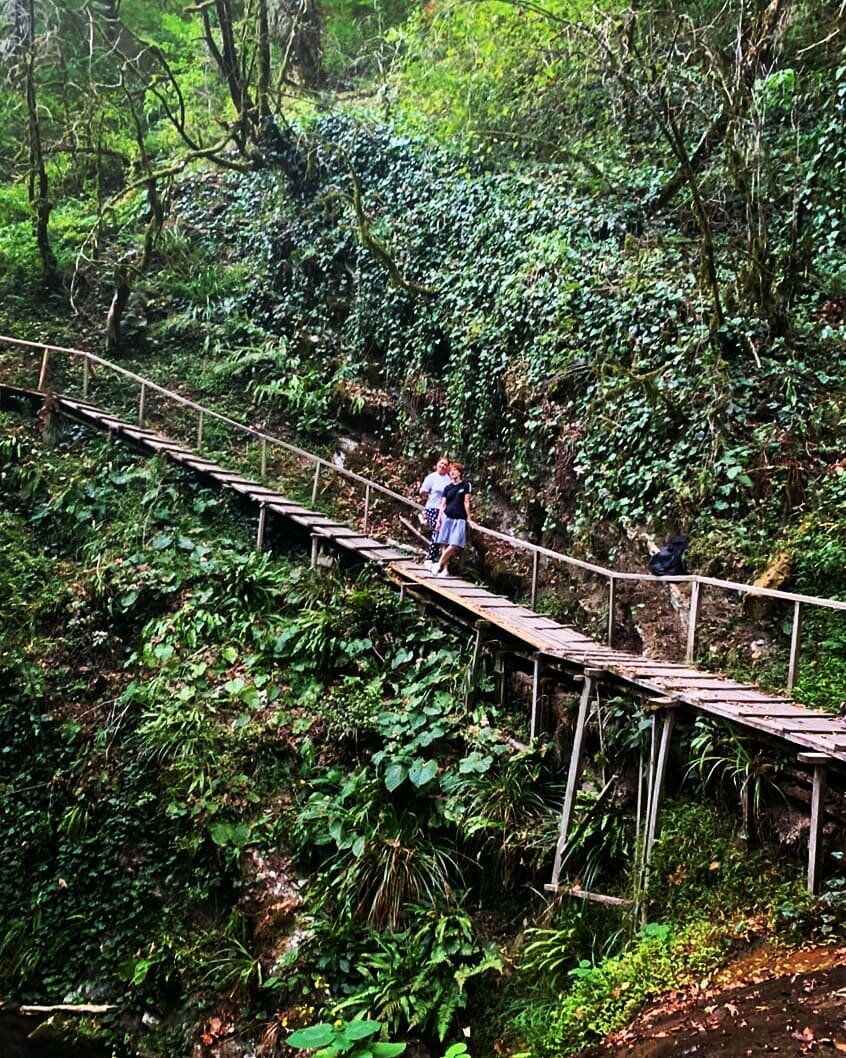 Агурское ущелье, Сочи (фото из инстаграм @lisa_alisa_red_foxfoto)