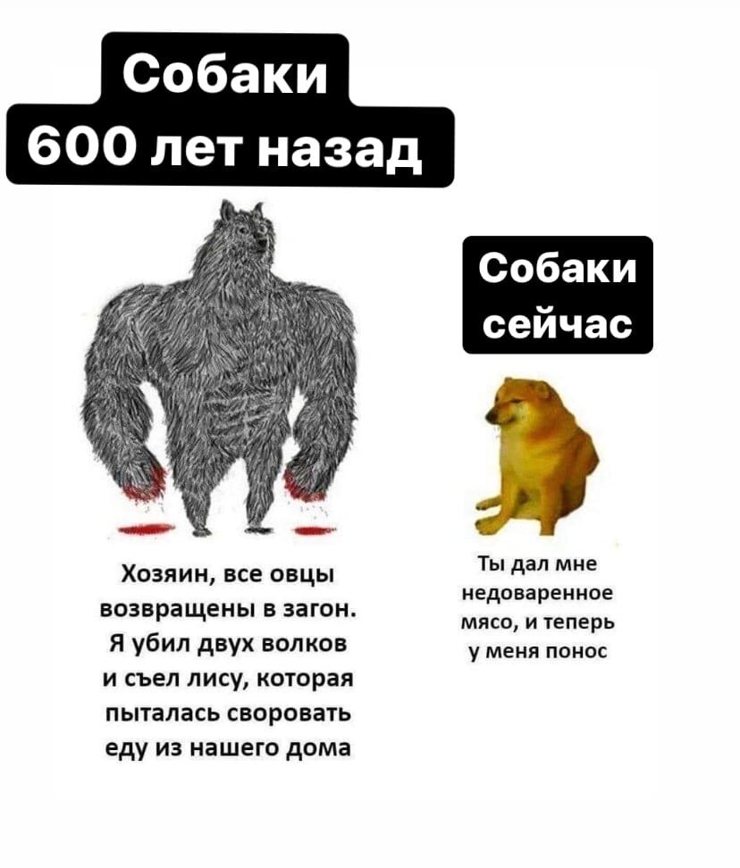фото из открытого источника