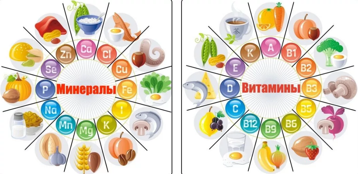 Витамины и микроэлементы в продуктах. -Микронутриенты - микроэлементы, витамины, минералы.. Витамины и Минеральные вещества. Минеральные вещества в продуктах питания. Минералы в пище.