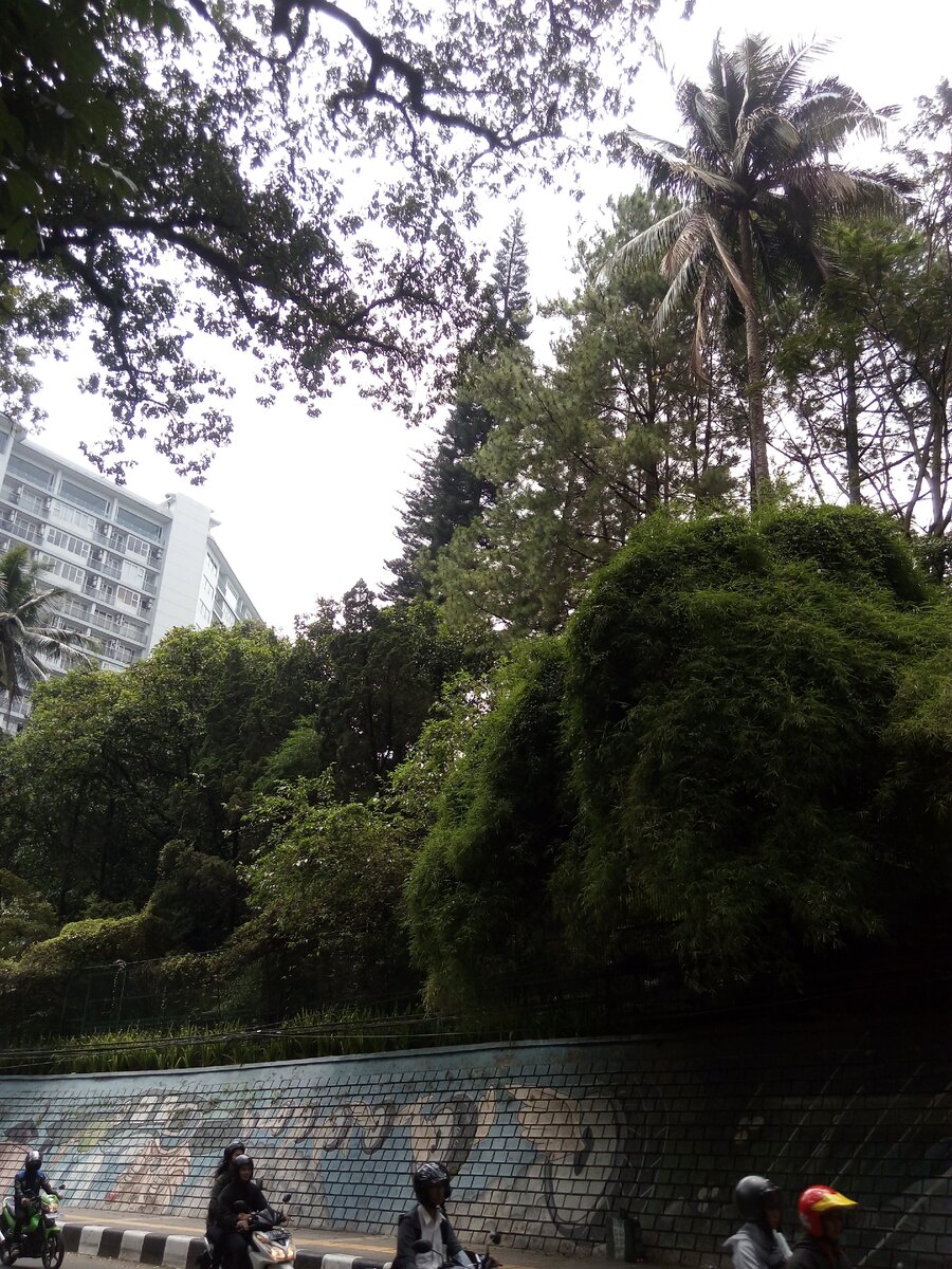 Бандун, фото сделано лично по дороге в зоопарк