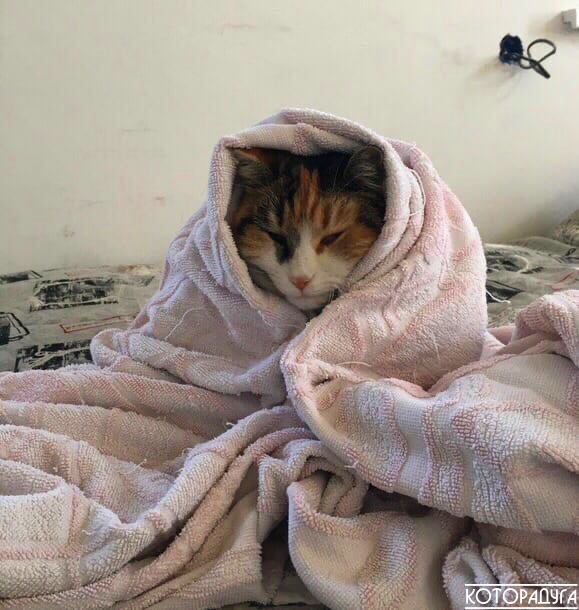 Источник: pinterest.com