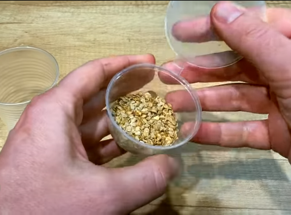 Семена помидор