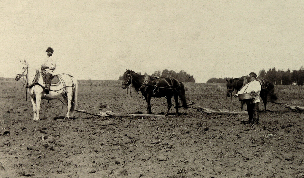 Фото из открытых источников