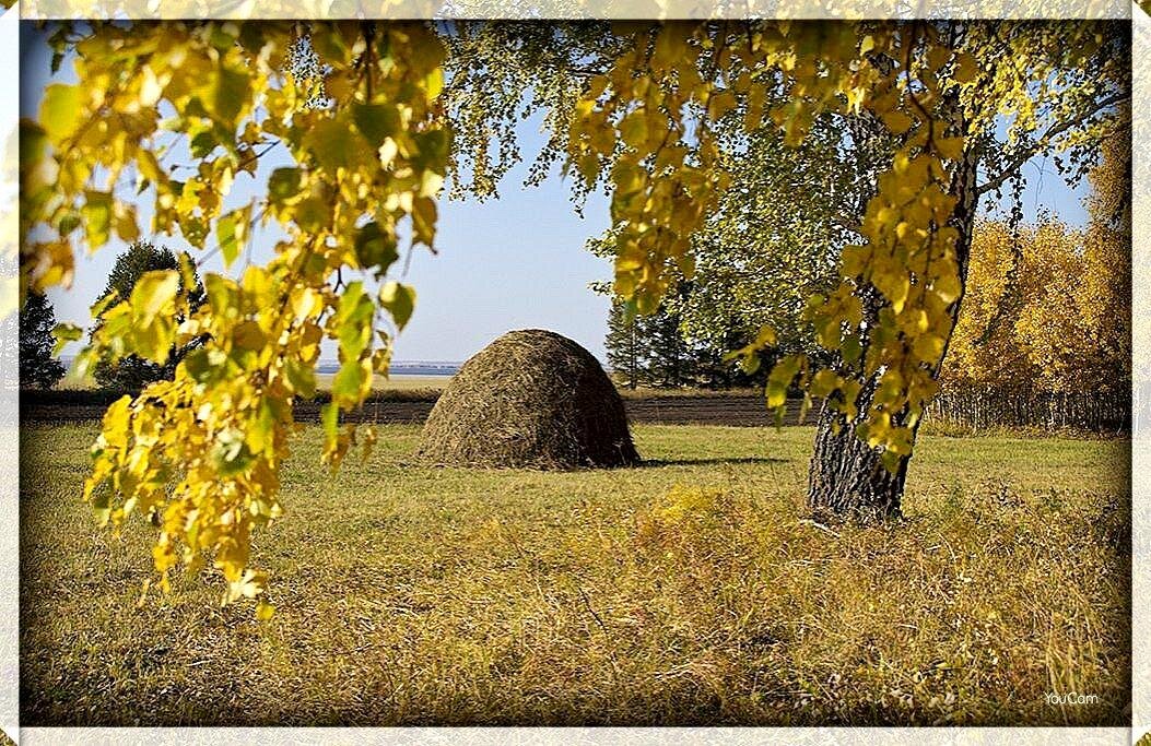 Осеннее сено