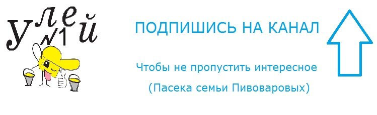 Как мы стали пчеловодами? Часть1.