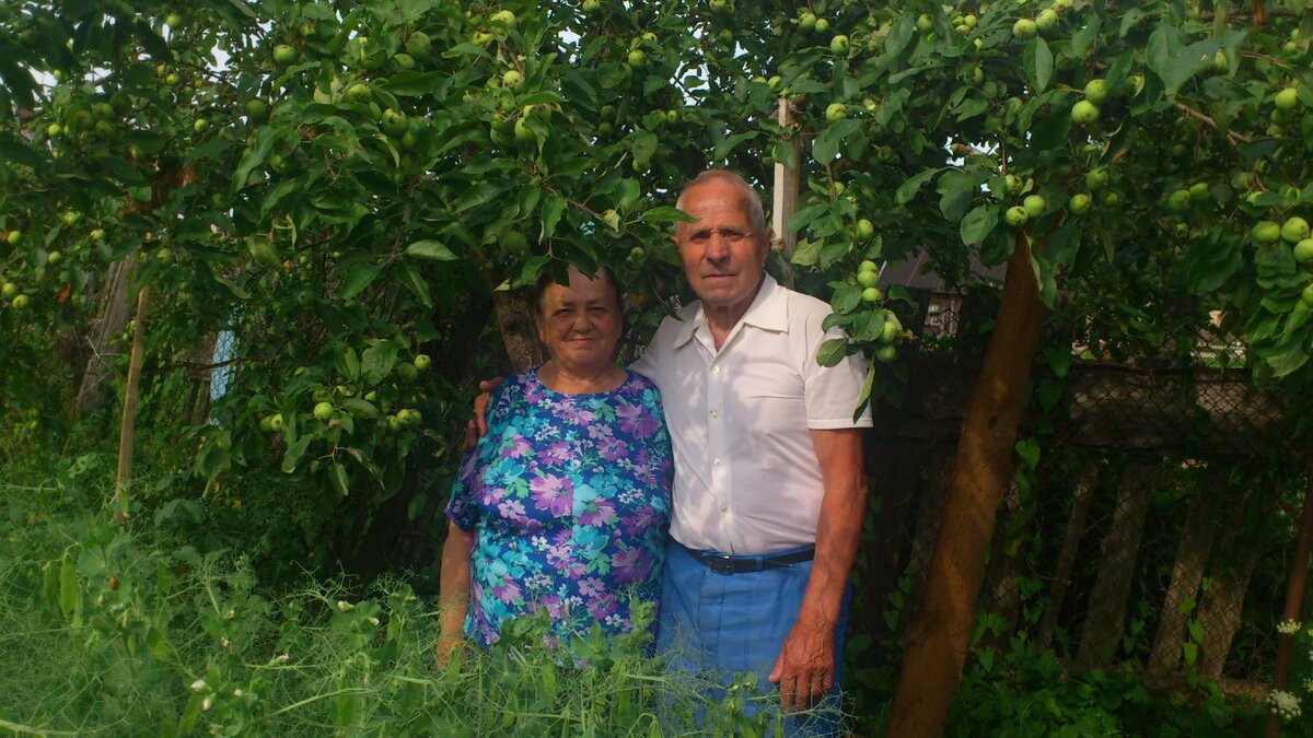 Мама с папой в огороде.