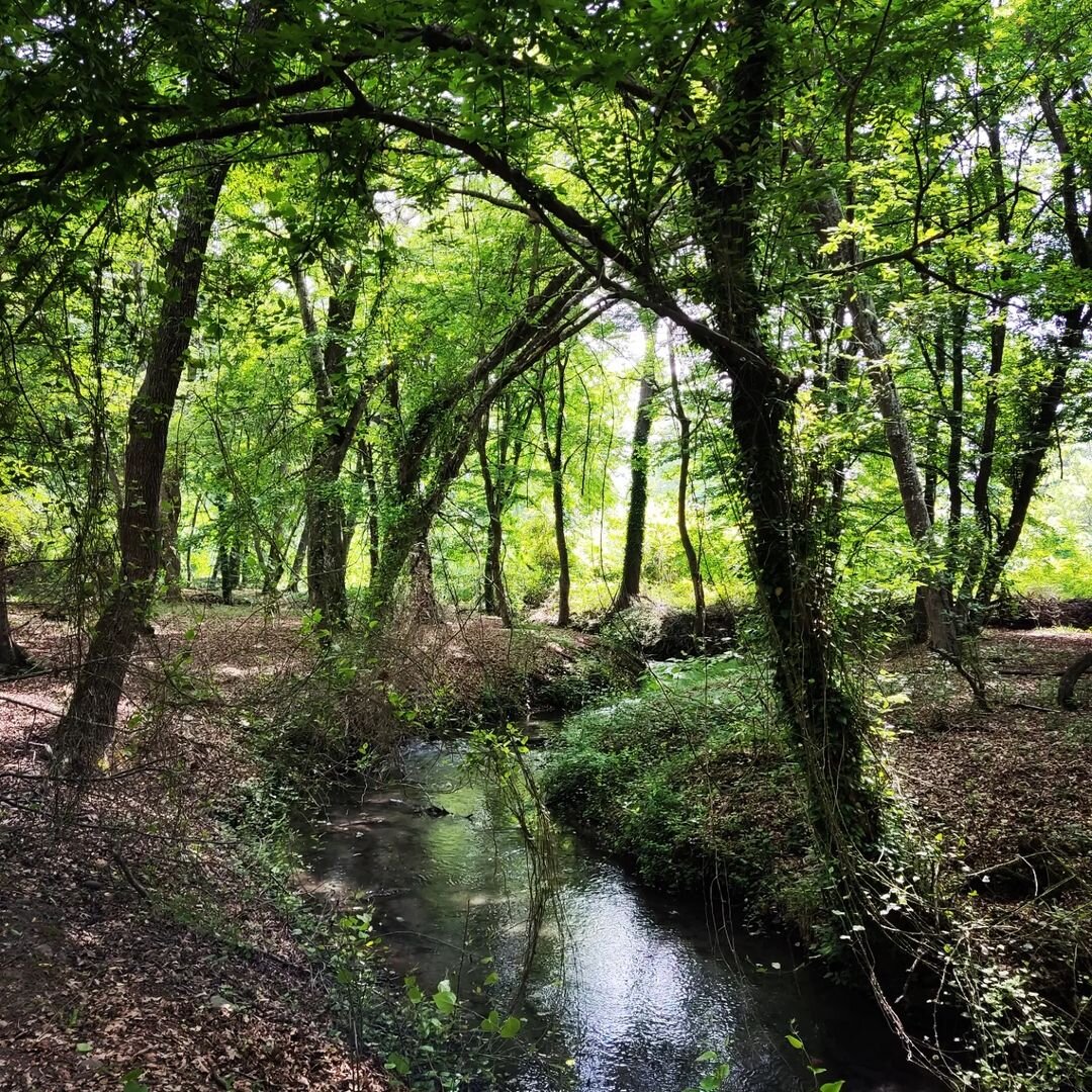 Фото: @lebedeva__lena, instagram.com*